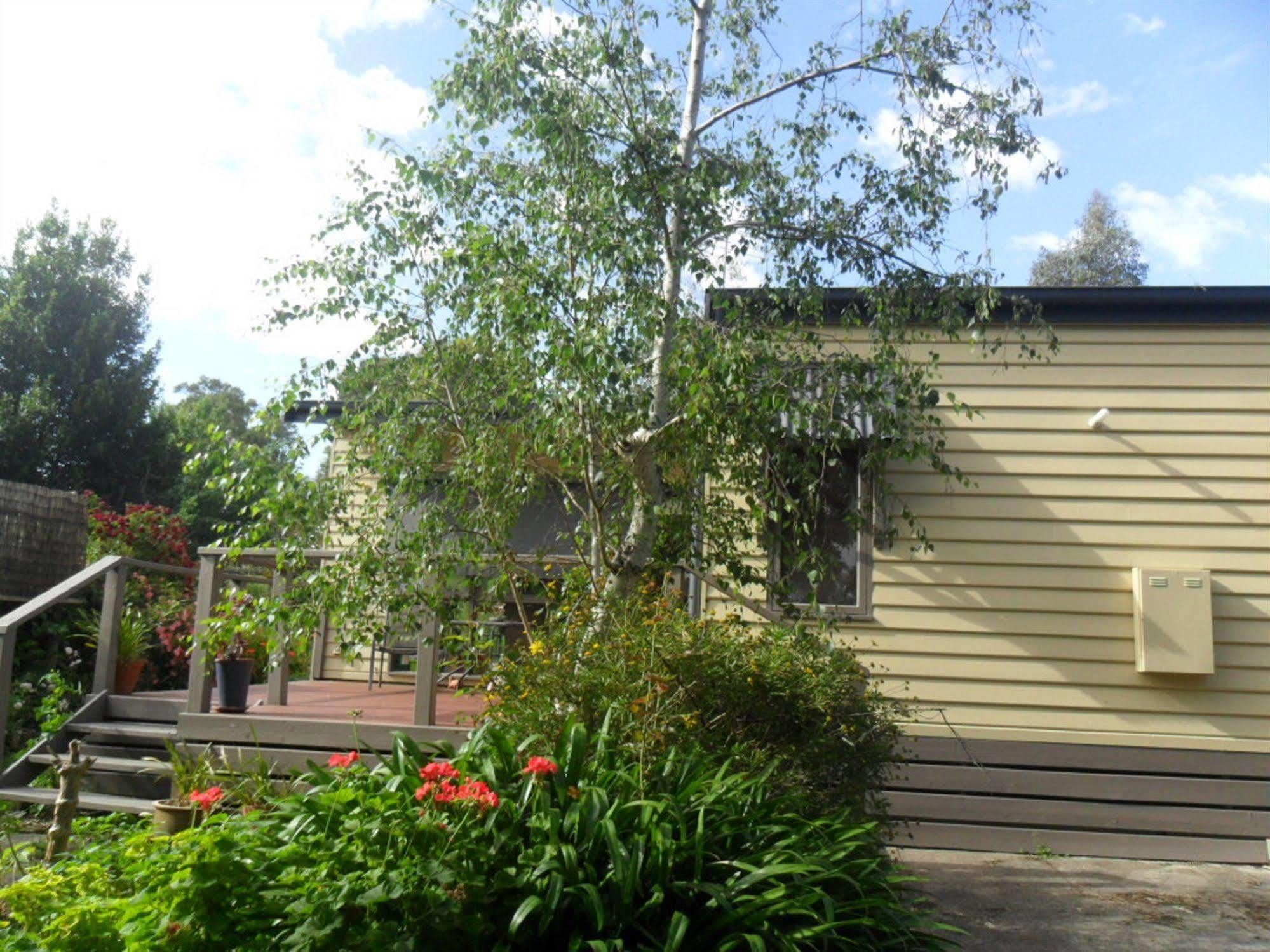 Australian Home Away @ Wonga Park Brushy Creek מראה חיצוני תמונה