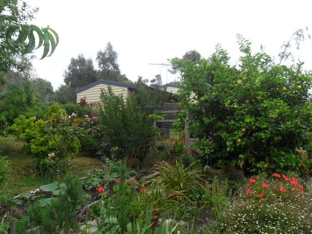 Australian Home Away @ Wonga Park Brushy Creek מראה חיצוני תמונה